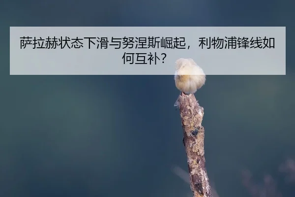 sa-la-he-zhuang-tai-xia-hua-yu-nu-nie-si-jue-qi-li-wu-pu-feng-xian-ru-he-hu-bu-2-483.jpg