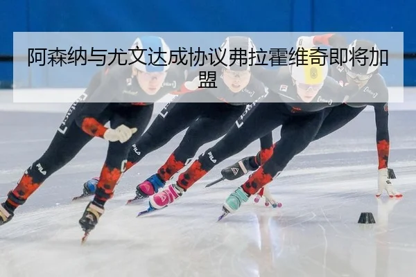 阿森纳与尤文达成协议弗拉霍维奇即将加盟