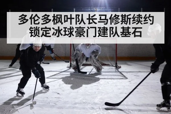 ice hockey game action